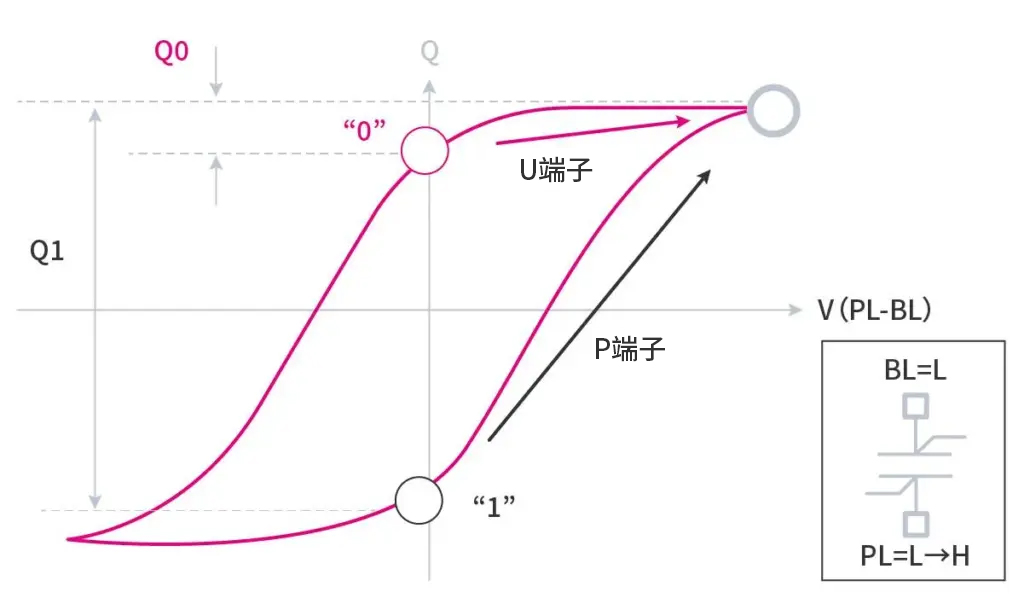 FeRAM存储单元的读取操作（迟滞特性的变化）